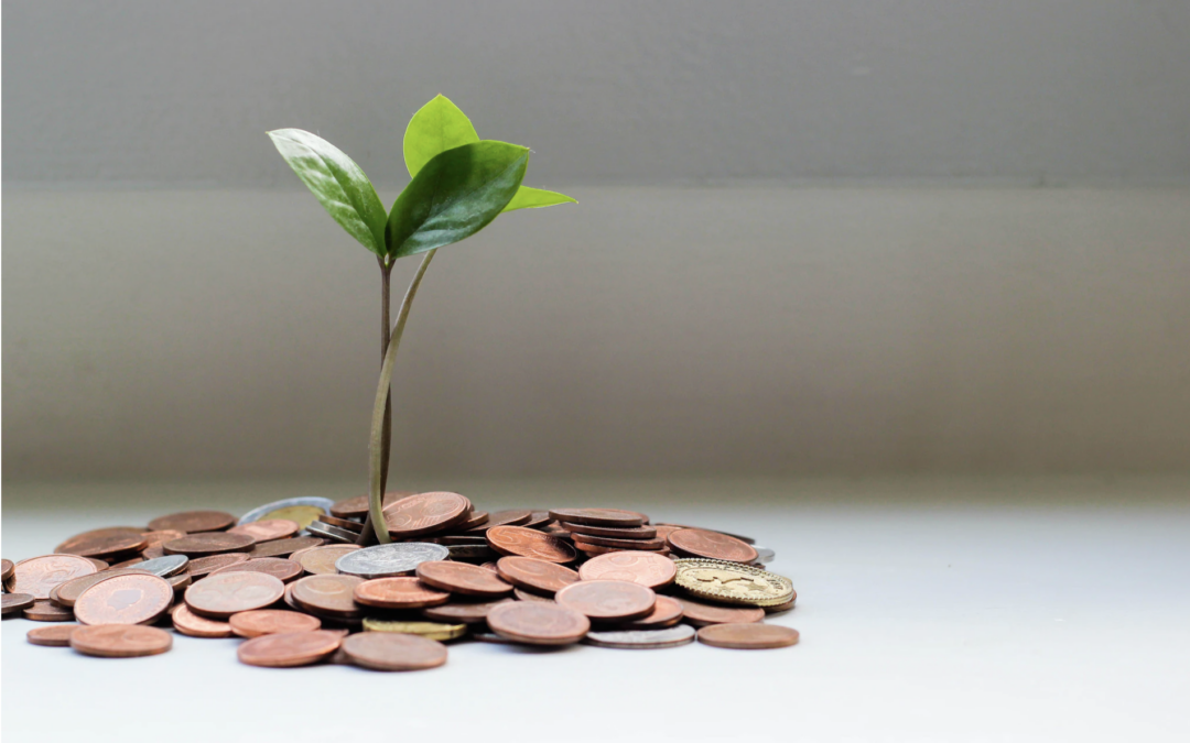 Bemerkungen von Hermann Engler zum Streitpunkt Lohnschutz